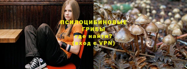 скорость mdpv Каменка