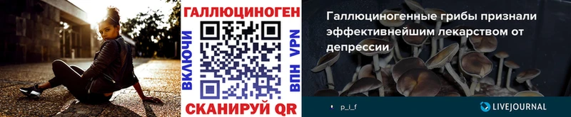 Галлюциногенные грибы Psilocybe  Купить закладки  Татарск 
